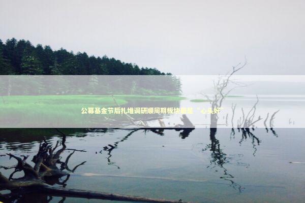 公募基金节后扎堆调研顺周期板块最是“心头好” 新闻