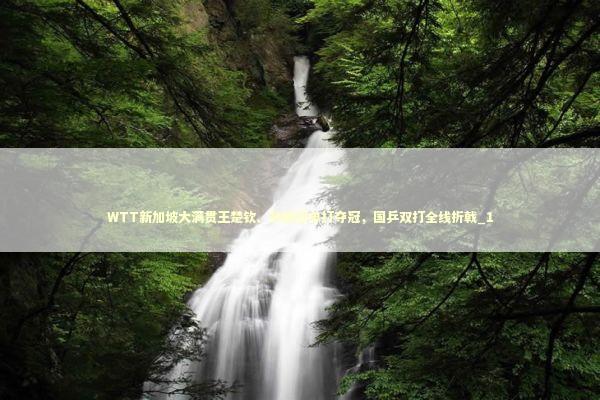 WTT新加坡大满贯王楚钦、孙颖莎单打夺冠，国乒双打全线折戟_1 新闻