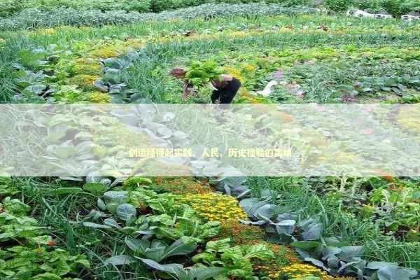 创造经得起实践、人民、历史检验的实绩 新闻