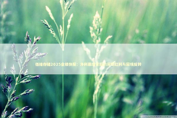 佰维存储2025业绩快报:净利暴增背后的周期红利与困境反转 佰维存储2025业绩快报:净利暴增背后的周期红利与困境反转 新闻