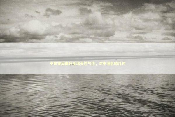 中东变局推升全球天然气价，对中国影响几何 新闻