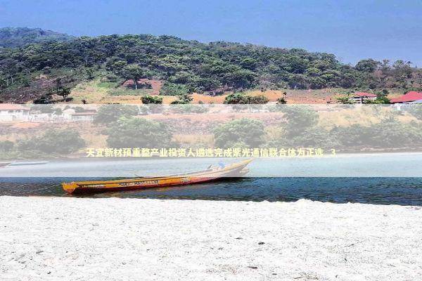 天宜新材预重整产业投资人遴选完成紫光通信联合体为正选_3 新闻