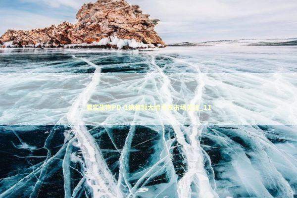 君实生物PD-1销售额大增引发市场关注_11 新闻