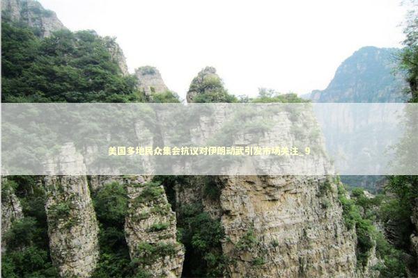 美国多地民众集会抗议对伊朗动武引发市场关注_9 新闻