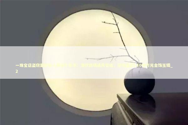 一珠宝店盗窃案被告人获刑十年半:潜伏商场通风管道,深夜盗走140余万元金饰玉镯_2 一珠宝店盗窃案被告人获刑十年半:潜伏商场通风管道,深夜盗走140余万元金饰玉镯_2 新闻