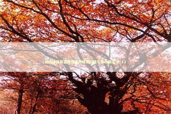 地缘冲突有望继续推升煤炭价格引发市场关注_12 新闻