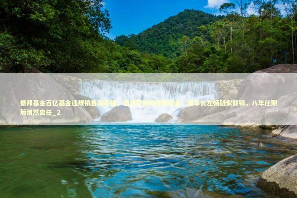 德邦基金百亿基金违规销售案落锤,遭重罚暂停发新基金,董事长左畅疑似背锅,八年任期后悄然离任_2 德邦基金百亿基金违规销售案落锤,遭重罚暂停发新基金,董事长左畅疑似背锅,八年任期后悄然离任_2 新闻