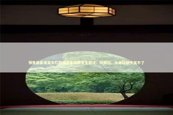 领克语音误关大灯致撞车多品牌车主尝试：特斯拉、小米行驶中关不了 新闻