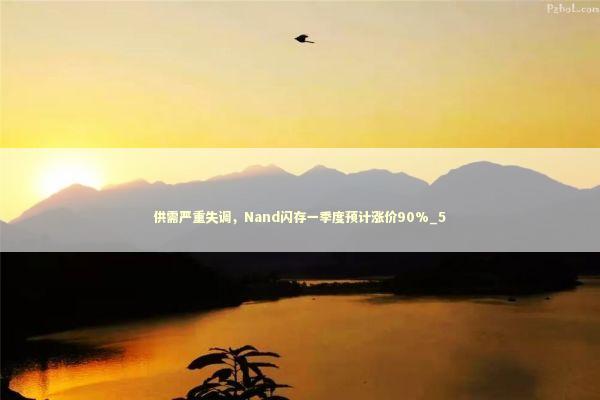 供需严重失调,Nand闪存一季度预计涨价90%_5 供需严重失调,Nand闪存一季度预计涨价90%_5 新闻