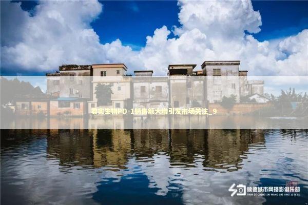 君实生物PD-1销售额大增引发市场关注_9 君实生物PD-1销售额大增引发市场关注_9 新闻