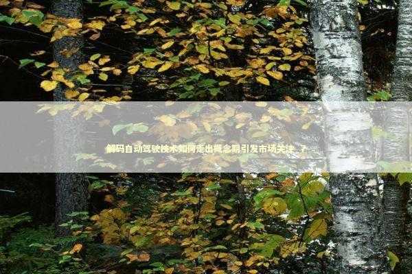 解码自动驾驶技术如何走出概念期引发市场关注_7 新闻