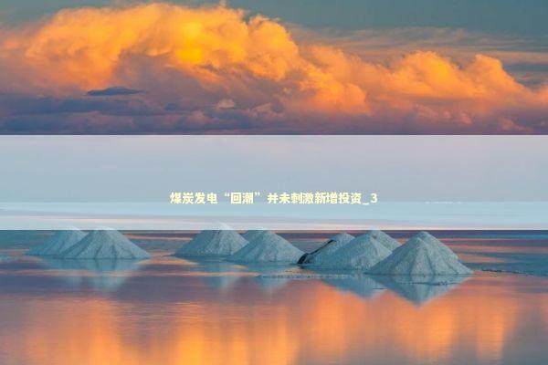 煤炭发电“回潮”并未刺激新增投资_3 新闻