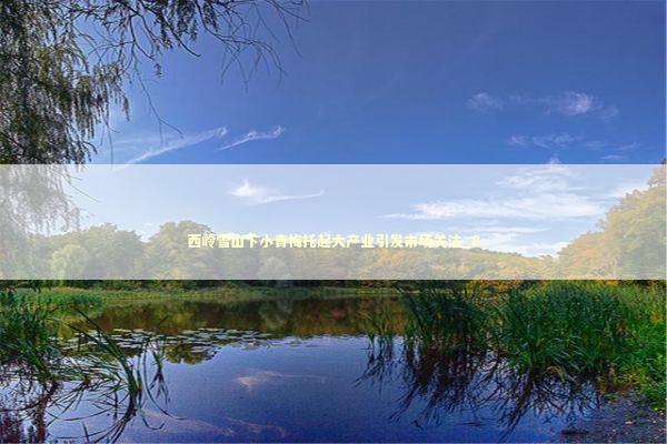 西岭雪山下小青梅托起大产业引发市场关注_8 新闻