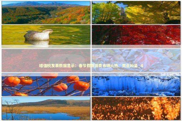 增值税发票数据显示：春节假期消费市场火热、亮点纷呈_4 新闻