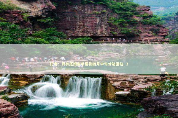 记者：贝林厄姆似乎要到四月中旬才能回归_3 新闻