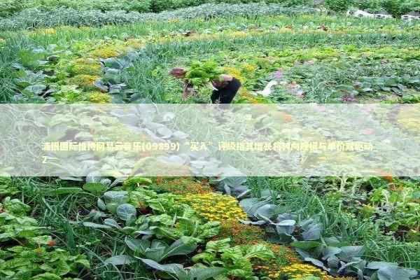 浦银国际维持网易云音乐(09899)“买入”评级指其增长将转向规模与单价双驱动_2 浦银国际维持网易云音乐(09899)“买入”评级指其增长将转向规模与单价双驱动_2 新闻