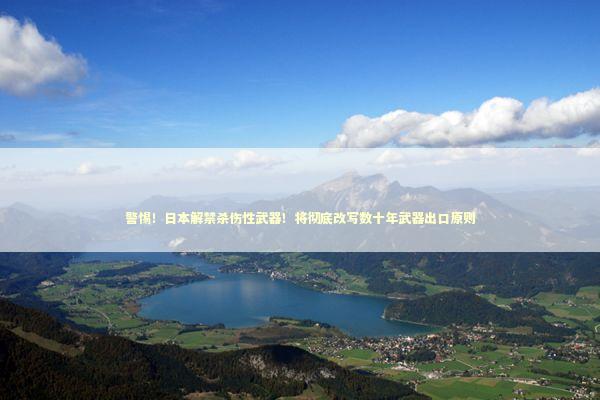 警惕！日本解禁杀伤性武器！将彻底改写数十年武器出口原则 新闻