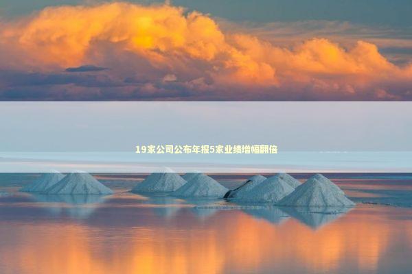 19家公司公布年报5家业绩增幅翻倍 19家公司公布年报5家业绩增幅翻倍 新闻