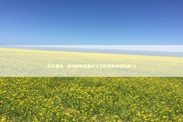 马年看马：各地博物馆里的马文物迎来参观热潮_6 新闻