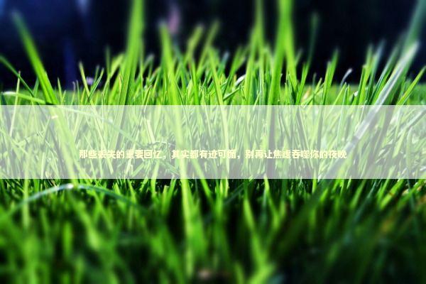 那些丢失的重要回忆，其实都有迹可循，别再让焦虑吞噬你的夜晚 IT技术